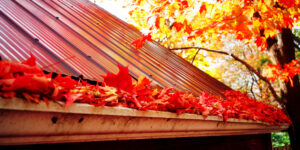 Fall Leaves Overflowing Gutter