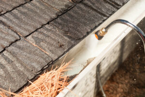 Gutter Cleaning Important